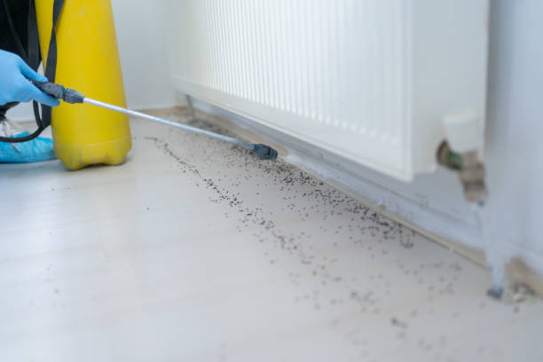 Reading’s Preferred Pest Control Eastern Pine Delivers