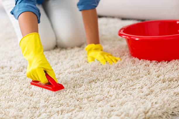 Why End of Tenancy Cleaning Matters for Landlords Singapore