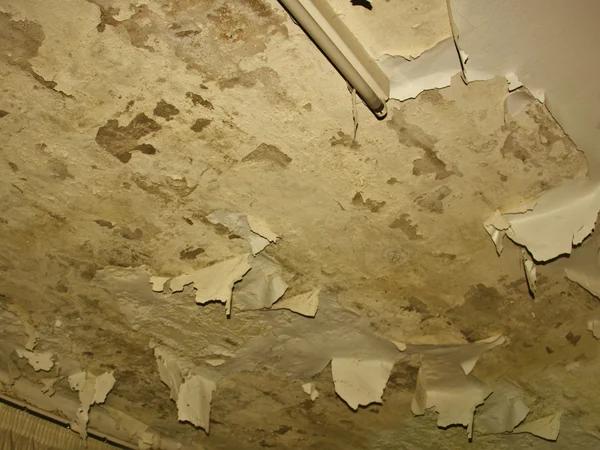 How a Colorado Public Adjuster Protects Homeowners From Underpaid Claims